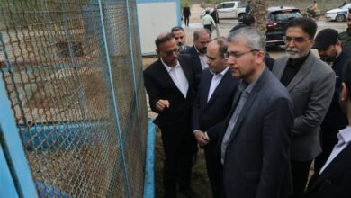 بررسی طرح تحول نخیلات دشتستان با حضور وزیر جهاد کشاورزی