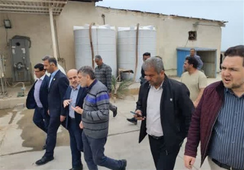 تدوین طرح زنجیره ارزش آبزیان پرورشی