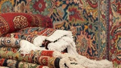 تعامل اقتصادی با کشورهای همسایه از اولویتهای دولت است