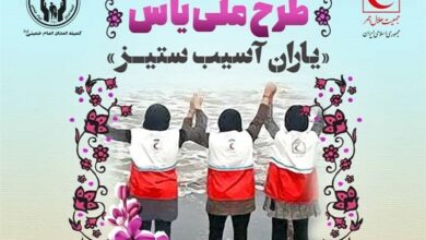 توانمندسازی دختران مددجوی کمیته امداد در بوشهر