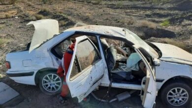 جان باختن 220 نفر در حوادث جادهای امسال در بوشهر