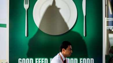 خراسان شمالی باید به قطب تولید خوراک دام تبدیل شود