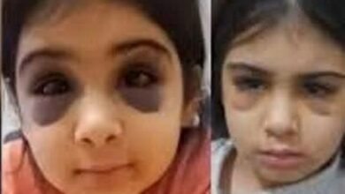 دستور رسیدگی فوری به پرونده آنیلا ساعدی