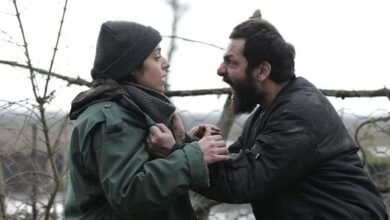 رضایت شیرازیها از اکرانهای چهارمین شب جشنواره فیلم فجر