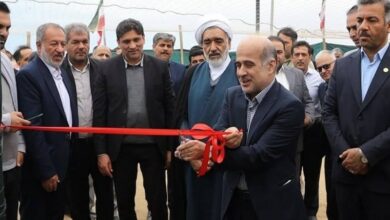 سرمایه گذاری 800 میلیاردی در پرورش ماهی بوشهر