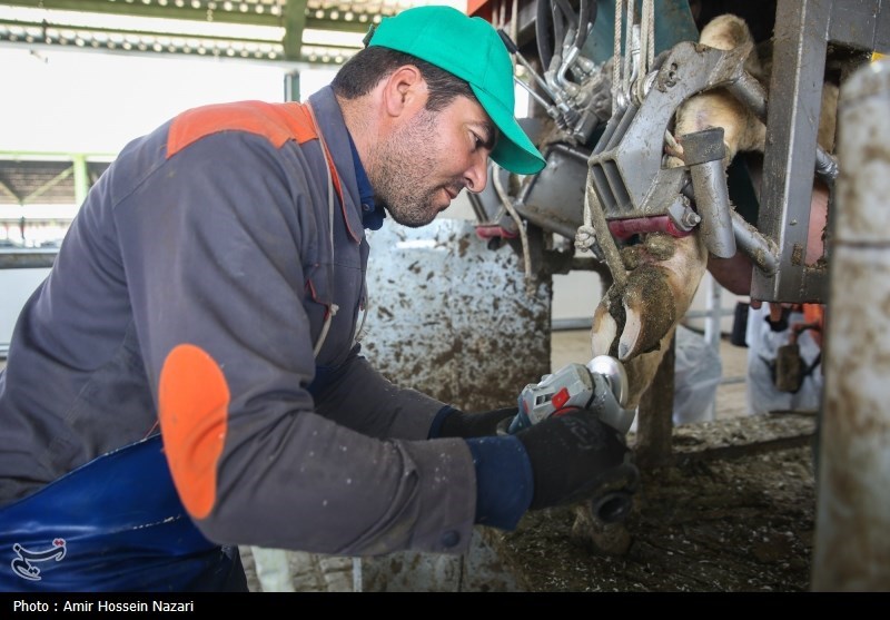 سرمایهگذاران خارجی در خراسان شمالی/ 72 طرح روی میز است