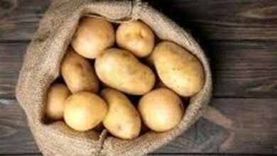 سیبزمینی 30 هزار تومانی به بازار سنندج آمد