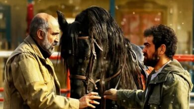 ششمین شب جشنواره فجر؛ واکنش متفاوت شیرازیها به دو فیلم