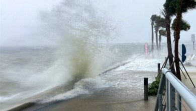صدرو هشدار دریایی در بوشهر/ ارتفاع موج به 2 متر افزایش یافت