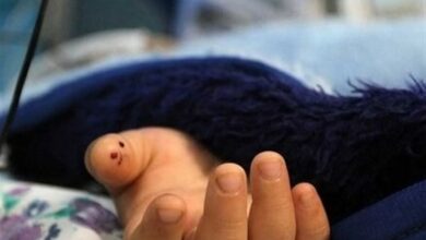 فوت 48 شهروند قزوینی در تصادفات درون شهری