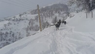 قزآان کاشان؛ پربارشترین منطقه استان اصفهان