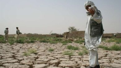 متخصصان برجسته چالش کمآبی سیستان را بررسی میکنند+فیلم