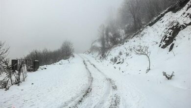 محور روانسر – پاوه مسدود شد