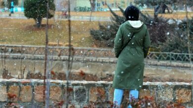 ورود سامانه بارشی جدید به فارس/ هوای فارس سردتر میشود