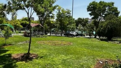 پارکهای محلهای فامنین کلنگزنی شد