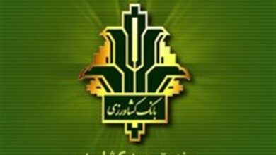 کدام محصولات کشاورزی در سال زراعی 1404-1403 بیمه میشوند؟