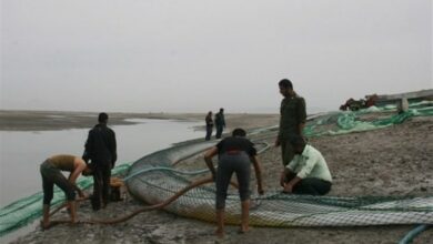 کشف خطوط لوله انتقال سوخت قاچاق در سواحل خلیج فارس+فیلم