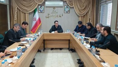 تأثیر سازمانهای مردم نهاد در کاهش آسیبهای اجتماعی / اخبار اردبیل - اخبار استانها