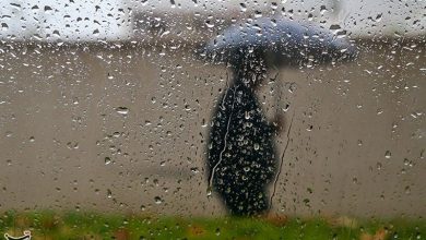 اوجگیری بارشها در همدان؛ تاریکدره نهاوند با 70 میلیمتر رکورد زد / اخبار همدان - اخبار استانها