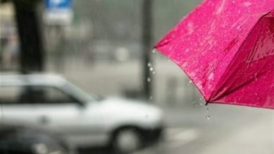 ثبت نخستین بارش زمستانه سیستان و بلوچستان/ چاهان نیکشهر در صدر بارندگیها / اخبار سیستان و بلوچستان - اخبار استانها