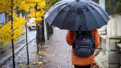 بارشهای اخیر در فارس و بهبود نسبی وضعیت آبی در کنار چالشهای خشکسالی / اخبار فارس - اخبار استانها