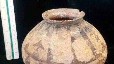 کشف و ضبط 12 قطعه شی تاریخی در جیرفت / اخبار کرمان - اخبار استانها