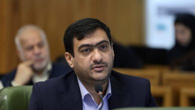 ۱۵۰ تاورکرین ناایمن در تهران نیازمند نظارت فوری وزارت کار / تاورکرین , ایمنی کارگاهها , شورای شهر تهران , وزارت کار , ساختمانسازی