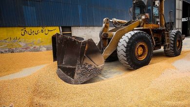 تبدیل گلستان به بارانداز غلات آسیای میانه/توجه دولت به احیای جاده ابریشم / اخبار گلستان - اخبار استانها