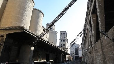 سیستان و بلوچستان پتانسیل تبدیل به قطب تولید سیمان منطقه را دارد / اخبار سیستان و بلوچستان - اخبار استانها