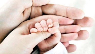 حدود نیمی از احکام قانون جوانی جمعیت ناقص یا اصلاً اجرا نشده است / اخبار سیاسی روز , اخبار مجلس