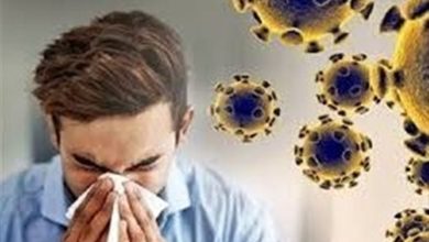 مرگ و میری از آنفلوانزا در اردبیل ثبت نشده است / اخبار اردبیل - اخبار استانها