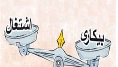 اقتصاد و اشتغال کردستان؛ مسیر توسعه پایدار و تقویت صنایع بومی / اخبار کردستان - اخبار استانها