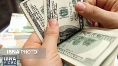 ذرت در صدر دریافتکنندگان ارز ترجیحی ۲۸ هزار و ۵۰۰ تومانی / ارز ترجیحی , ذرت , بانک مرکزی , وزارت جهاد کشاورزی , دانههای روغنی