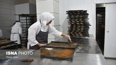 اقتصاد دیجیتال؛ فرصتی برای کاهش محدودیتهای زنان در بازار کار / اقتصاد دیجیتال , زنان , بازار کار , اشتغال , کارآفرینی