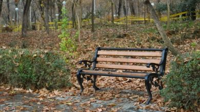 بهکده رضوی با 21.7 میلیمتر پربارشترین نقطه خراسان شمالی شد / اخبار خراسان شمالی - اخبار استانها