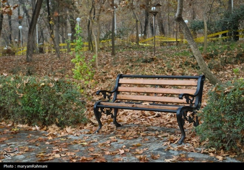 بهکده رضوی با 21.7 میلیمتر پربارشترین نقطه خراسان شمالی شد / اخبار خراسان شمالی - اخبار استانها