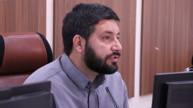 توضیحات رئیس شورای شهر کرمان درباره نگرانیهای مربوط به قطع درختان خیابان شهید بهشتی / اخبار کرمان - اخبار استانها