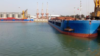 ورود دو کشتی حامل گندم به بندر امیرآباد مازندران / گندم , واردات , مازندران , بندر امیرآباد , امنیت غذایی