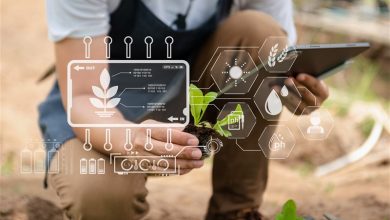 نمایشگاه الکامپ مازندران با نگاه تحولی برپا میشود / اخبار مازندران - اخبار استانها