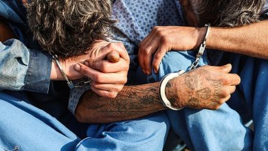 سارقان سریالی طلا و زعفران در بردسکن دستگیر شدند / اخبار خراسان رضوی - اخبار استانها