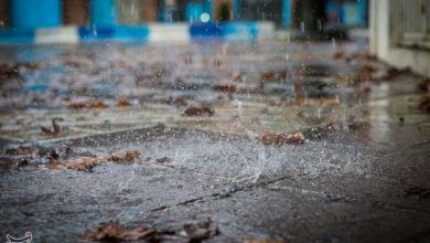 تقویت بارشهای زمستانی در یزد تا پایان هفته / اخبار یزد - اخبار استانها