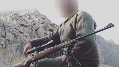 شکارچی غیرمجاز کل وحشی در منطقه حفاظتشده کهیاز اردستان دستگیر شد / اخبار کاشان - اخبار استانها