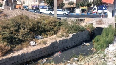 حال ناخوش اهالی شرق سپاه بجنورد/ گذران زندگی در جهنم فاضلاب! / اخبار خراسان شمالی - اخبار استانها