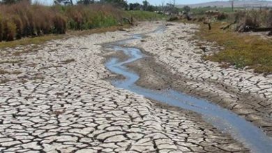 گلستان در آستانه تنش جدی آبی/ همه شهرها با خطر بحران آب مواجهاند / اخبار گلستان - اخبار استانها