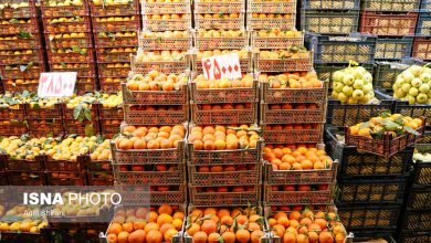 معاون سازمان تعاون روستایی: کمبودی در بازار میوه شب یلدا وجود ندارد / شب یلدا , میوه , قیمت میوه , تنظیم بازار , سازمان تعاون روستایی