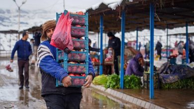 یلدا؛ قصهی طولانی دلتنگی و امید در قلب زمستان / اخبار زنجان - اخبار استانها