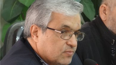 دلیل افزایش قیمت گوشت و لبنیات/ دولت و مجلس مانع تکرار اشتباهات شوند / اخبار سیاسی روز , اخبار مجلس