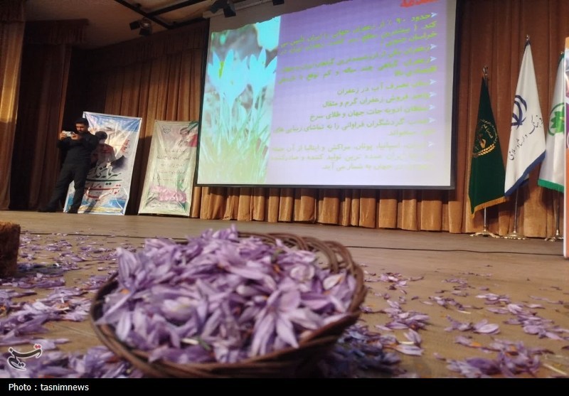 زعفران زاگرس در کانون توجه؛ همایش تخصصی در سروآباد+تصویر / اخبار کردستان - اخبار استانها