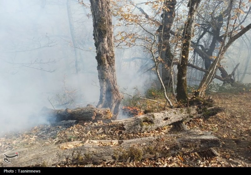 گزارش مجلس درباره علل آتش سوزی جنگل هیرکانی منطقه الیت / اخبار سیاسی روز , اخبار مجلس