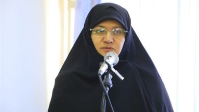 عضو شورای راهبری «رهبانو»: توانمندسازی بانوان و الگوسازی اجتماعی نیازمند نگاه ویژه و پیوست فرهنگی است / اخبار خراسان جنوبی - اخبار استانها